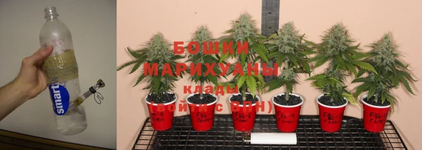ECSTASY Козельск