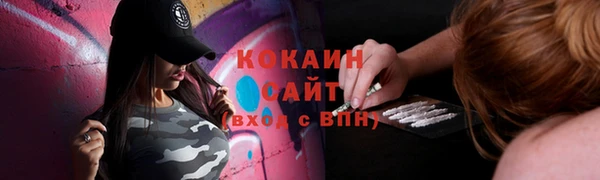 молекула духа Ачинск