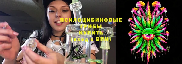 ECSTASY Козельск